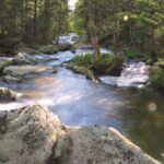 Frischekick: Wandern entlang des rauschenden Osterbachs im Wildwassertal Bärnloch bei Wegscheid