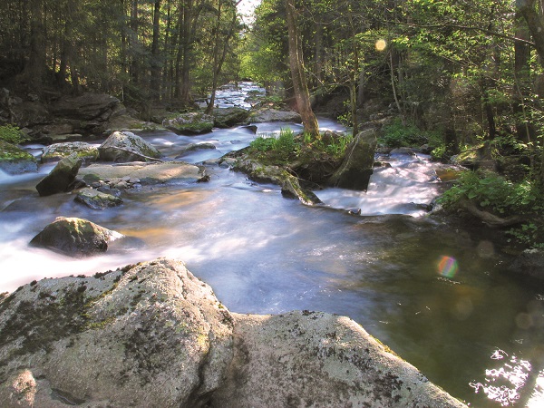 Frischekick: Wandern entlang des rauschenden Osterbachs im Wildwassertal Bärnloch bei Wegscheid