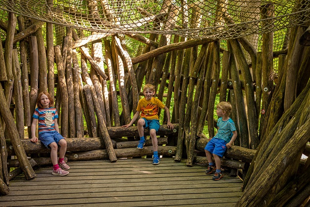 Das sind die Sommer-Highlights für Familien, Kinder & Entdecker am Baumwipfelpfad Steigerwald