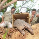 Cem Özdemir begegnet dem Gürteltier: Der Schirmherr der diesjährigen Kampagne „Zootier des Jahres“ zu Besuch in der Wilhelma