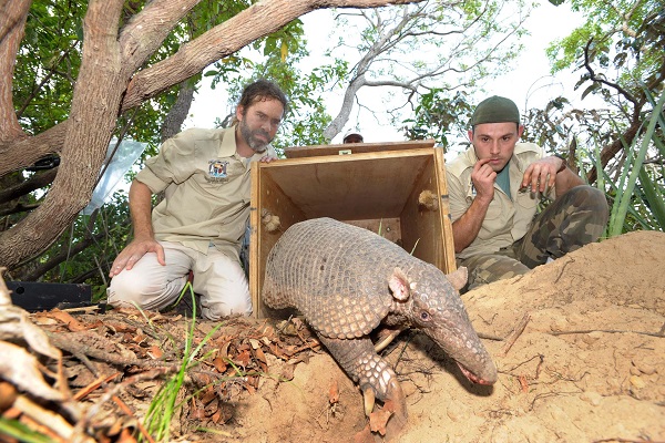 Cem Özdemir begegnet dem Gürteltier: Der Schirmherr der diesjährigen Kampagne „Zootier des Jahres“ zu Besuch in der Wilhelma