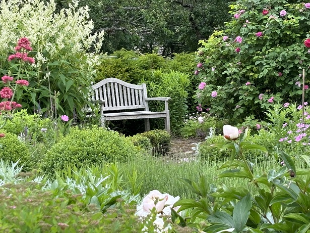 Erfolgreicher „Tag der offenen Gartentür“ – und deshalb gibt´s auch schon den Aufruf für 2026