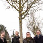 Fest verwurzelt und resistent: Stadt schenkt Altbürgermeister Dr. Adolf Bauer einen Feldahorn