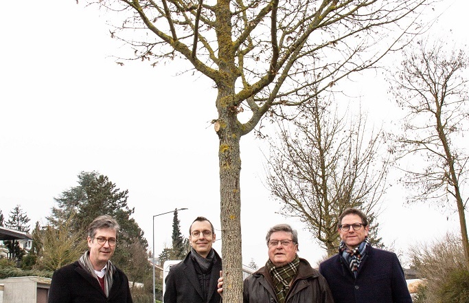 Fest verwurzelt und resistent: Stadt schenkt Altbürgermeister Dr. Adolf Bauer einen Feldahorn