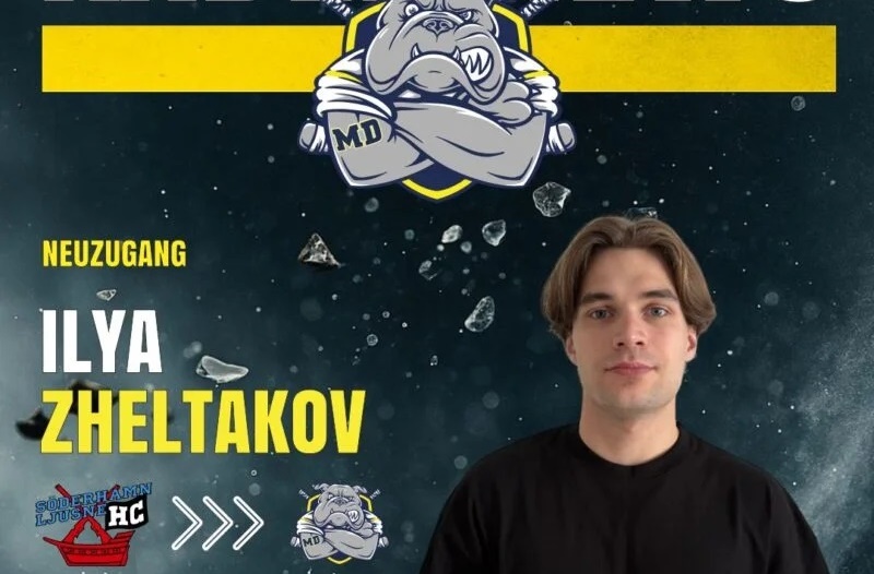 Stürmer Ilya Zheltakov ist 24 Jahre alt: Junger Flügelspieler kommt aus Schweden an den Main