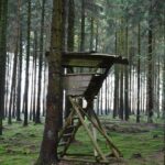 Psychisch auffälliger Mann ohne festen Wohnsitz legte wohl Feuer an einer einer völlig abgebrannten Jägerkanzel