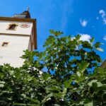 Offene Gärten 2025 im Landkreis Kitzingen: Rund um die Kirche St. Jakobus in Mainstockheim
