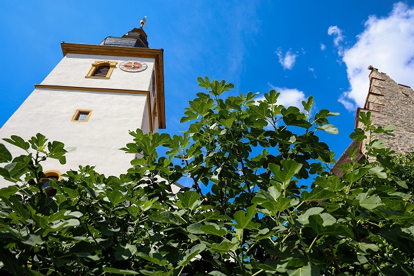 Offene Gärten 2025 im Landkreis Kitzingen: Rund um die Kirche St. Jakobus in Mainstockheim