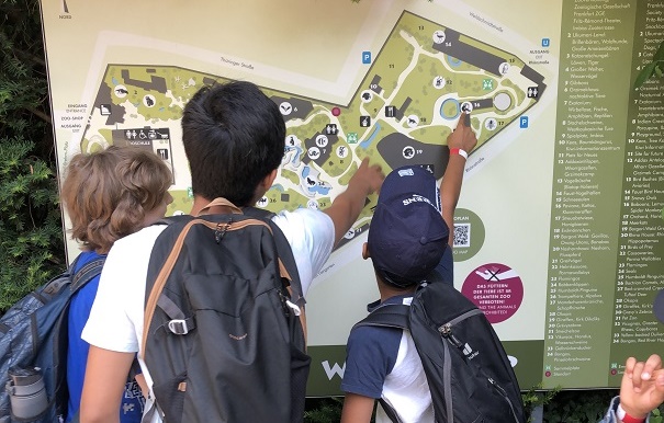 Besuch im Frankfurter Zoo: 40 Kinder und Jugendliche sahen über 4.500 Tiere in 450 Arten