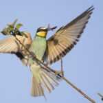 Kinder und Jugendliche hatten die „Natur im Fokus“: Umweltstation zeigt Siegerfotos aus bayernweitem Wettbewerb