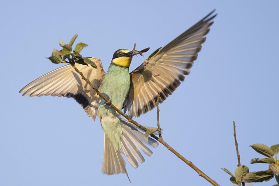 Kinder und Jugendliche hatten die „Natur im Fokus“: Umweltstation zeigt Siegerfotos aus bayernweitem Wettbewerb