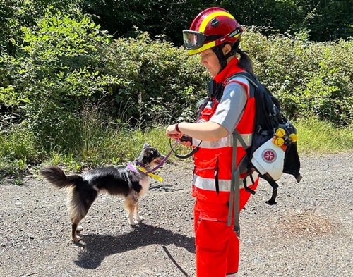 Großübung der Johanniter Rettungshundestaffel Schweinfurt: Im Ernstfall soll die Zusammenarbeit gut funktionieren