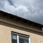 Einsatz für die Schwalbe: Untere Naturschutzbehörde bringt Kotbretter zum Gebäudeschutz im Landkreis an