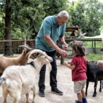 Fotowettbewerb 2026: Die Wildparkfreunde suchen die schönsten Wildparkmotive für den Kalender 2027