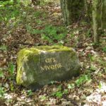 Kunst in der Natur erwandern: „Spuren“ im nördlichen Steigerwald