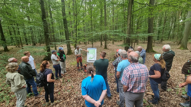 Expedition in der Großgemeinde: Bürgermeister Stefan Rottmann lädt zum Bürgerwaldtag in Schonungen ein