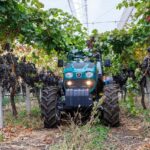 Bei Arbeiten im Weinberg kippte ein 57-Jähriger aufgrund der Hanglage mit seinem Traktor um