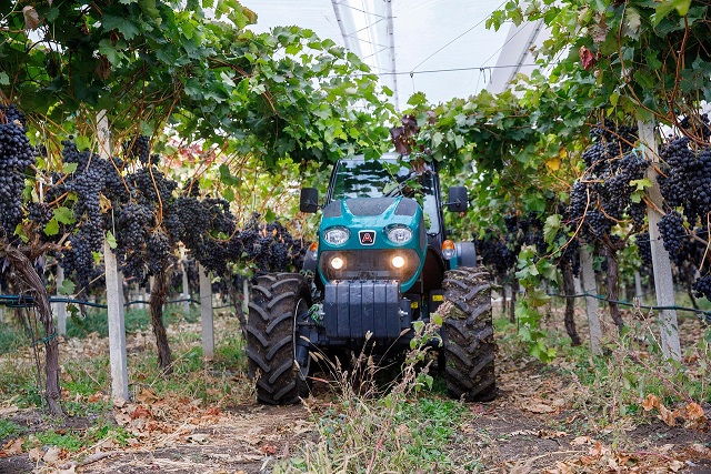 Bei Arbeiten im Weinberg kippte ein 57-Jähriger aufgrund der Hanglage mit seinem Traktor um