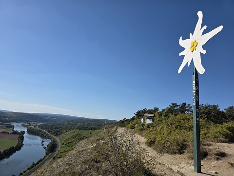 Fahr mal hin und lauf´ mal rum: Zwischen Gambach und Karlstadt auf der Suche nach dem Edelweiß am Klettersteig – FOTOS!