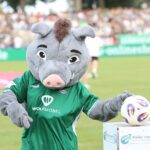 Das rettende Ufer kommt am Samstag nach Schweinfurt: Warum der FC 05 gegen Aachen eigentlich unbedingt gewinnen muss