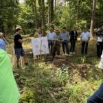 Klimaanpassung im Wald: Zuckerrübenerde verbessert Waldboden in Sommerhausen