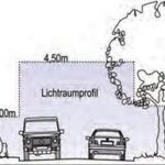 Einhaltung des Lichtraumprofils: Das müssen Eigentümer beachten, was Überwuchs betrifft