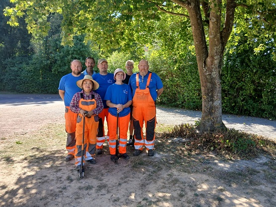 Schulung und Austausch zu Problempflanzen: Marktheidenfelds Umweltbeauftragter Torsten Ruf hat Ratschläge zum Vorgehen