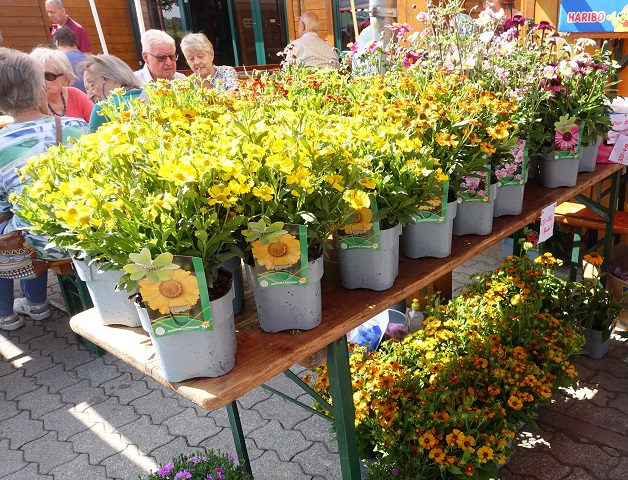 Noch nichts vor am Freitag? Dann auf zum Sommerfest des Vereins für Gartenbau und Landespflege Gochsheim