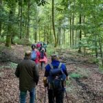 384 Grenzsteine, 25 Kilometer Außengrenze: Traditionelle Waldgrenzbegehung im Bürgerwald Gerolzhofen-Dingolshausen