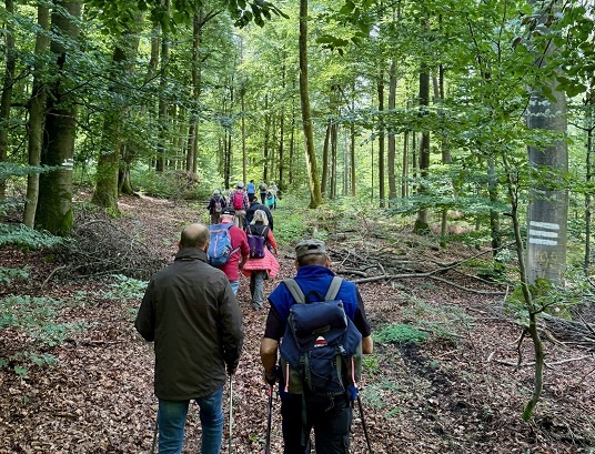 384 Grenzsteine, 25 Kilometer Außengrenze: Traditionelle Waldgrenzbegehung im Bürgerwald Gerolzhofen-Dingolshausen