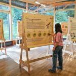 Neue Wanderausstellung im Steigerwald-Zentrum: #NoFilter – Die Welt ist besser als wir glauben