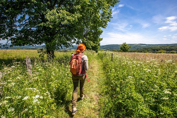 Natur, Kultur, Gemeinschaft: Der 15. Rhöner Wandertag lädt nach Hilders in Hessen