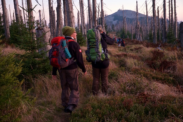 Von Hütte zu Hütte wandern durch zwei Nationalparks: Grenzübergreifende Wildnistour ab Spiegelau