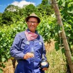 Weingenuss. Mühlentour, Winzerbursche: Interessante Führungen im September in Schweinfurt Stadt und Land