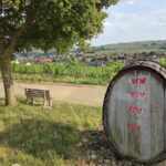Lauf mal rum: Der Zehntgrafen-Weinweg in Wipfeld bis fast hoch auf den Speiersberg
