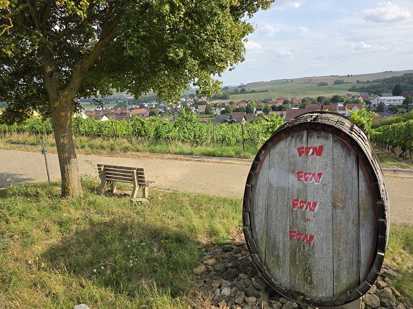 Lauf mal rum: Der Zehntgrafen-Weinweg in Wipfeld bis fast hoch auf den Speiersberg