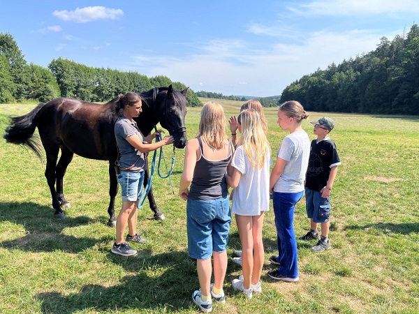 Beim „Inklusiven Zeltlager“ wurde ein Bauernhof erfolgreich von Kindern gerettet!