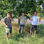 Ein gelbes Band am Baum bedeutet: Hier ist das Ernten ausdrücklich erlaubt