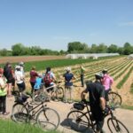 Zum zehnten Geburtstag: Jubiläums-Veranstaltungen der Öko-Modellregion Oberes Werntal im Herbst