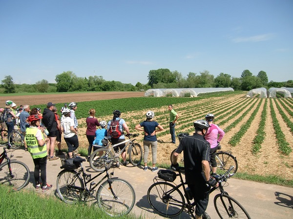 Zum zehnten Geburtstag: Jubiläums-Veranstaltungen der Öko-Modellregion Oberes Werntal im Herbst
