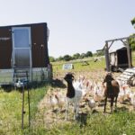 Anfrage stellen und Bio in Rhön-Grabfeld voranbringen!: Bis zu 10.000 Euro Kleinprojekte-Förderung aus dem Öko-Verfügungsrahmen