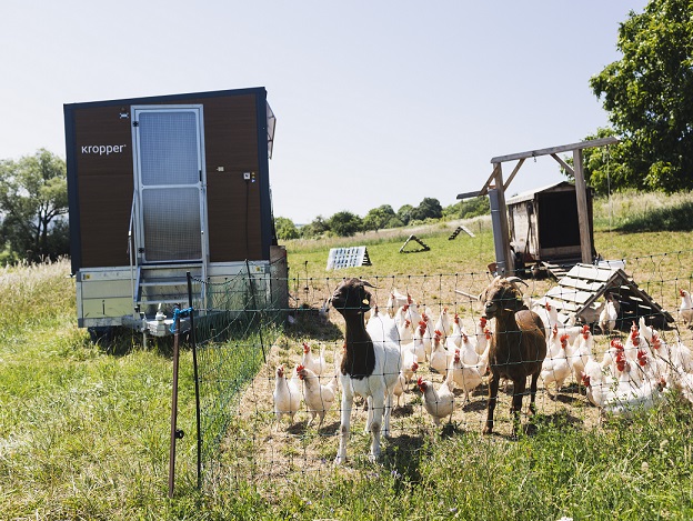 Anfrage stellen und Bio in Rhön-Grabfeld voranbringen!: Bis zu 10.000 Euro Kleinprojekte-Förderung aus dem Öko-Verfügungsrahmen