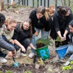 Mehr Natur mitten in der Stadt: Ein Hotspot für heimische Pflanzen und Tiere in Stuttgart