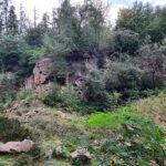 Führung des „Vereins Nationalpark Steigerwald e.V.“: Der Friedrichsberg durch die geologische Brille betrachtet