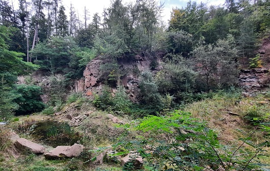 Führung des „Vereins Nationalpark Steigerwald e.V.“: Der Friedrichsberg durch die geologische Brille betrachtet