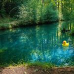 Lauf mal hin und schau´s mal an: Der so idyllische Hertasee bei Hafenpreppach – FOTOS!