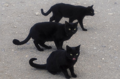 „Junge Talente“ im Franck-Haus: Lena Bils zeigt in Marktheidenfeld digitale und analoge Fotografie
