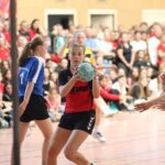 Spitze Zungen: Korbball – oder wie man als Fremder nach Dorfnähe sucht