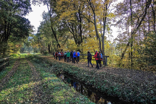 „Bierige“ Wander-Erlebnisse im goldenen Herbst mit der Vielfalt in Neumarkt in der Oberpfalz