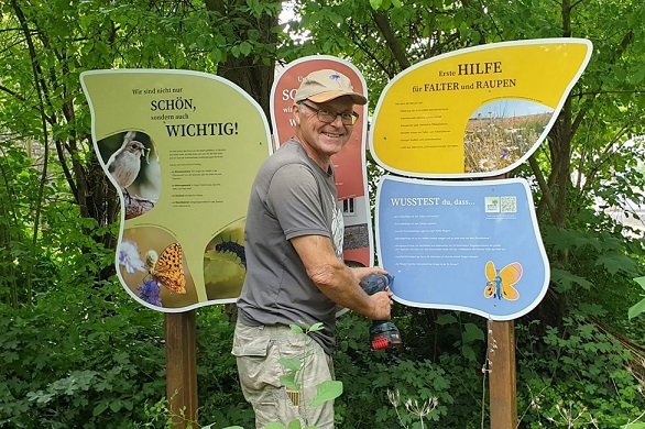 Wo bunte Flügel Hoffnung tragen: THWS wirkt bei der Gestaltung des neuen Schmetterlingslehrpfades im Würzburger Ökohausgarten mit